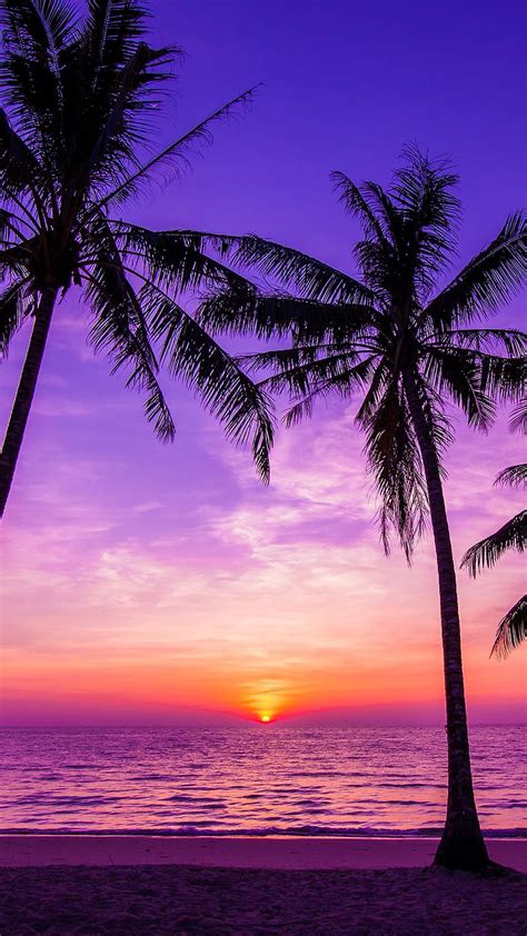 Top 35 Imagen Pretty Sunset Background Vn