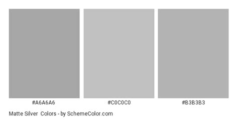Matte Silver Color Scheme Gray