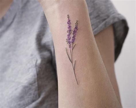 Scottish Heather Flower Tattoo Meaning Best Flower Site