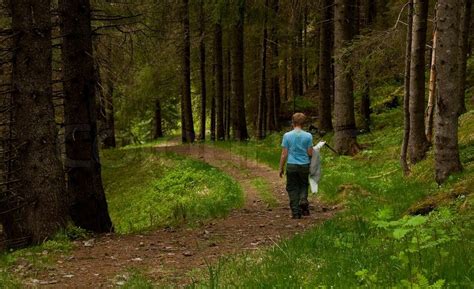 A Young Boy Walking Alone In The Forest Stock Image Colourbox