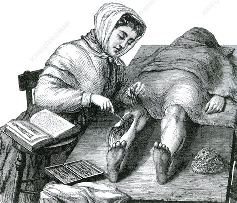 Anatomy Class Dissection, Female Medical Student - Stock Image - C030