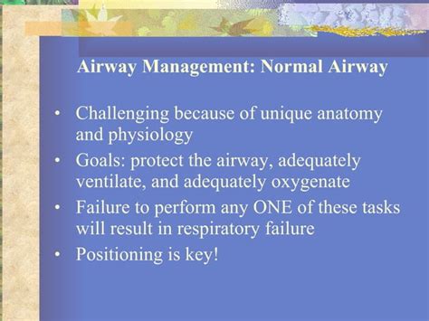 18 Basics Of Pediatric Airway Anatomy Physiology And Management Ppt