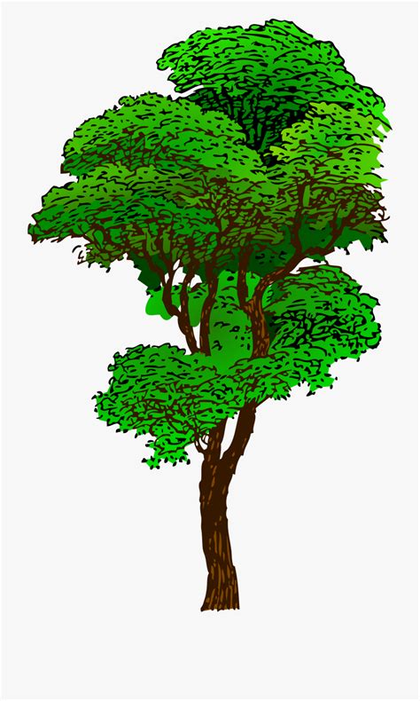 Jungle Trees Clipart 10 Free Cliparts Download Images On Clipground 2023