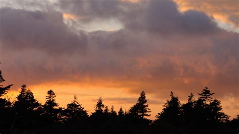 Bäume Himmel Sonnenuntergang Wolken Bild Foto Desktop Hintergrund