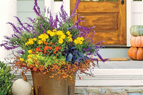 Container Gardening Southern Living