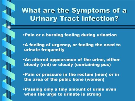 Ppt Urinary Tract Infection Uti Powerpoint Presentation Free