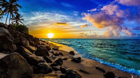 Sky Sea Exotic Ocean Hawaii Oahu Sunset Beautiful Palms Stones