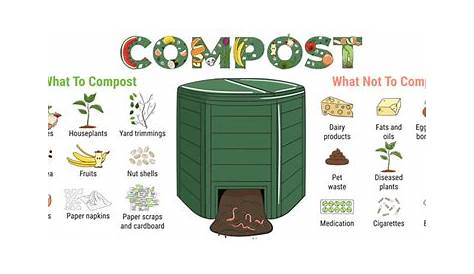 Composting FAQs for Beginners: The Basics, Explained - Tamborasi