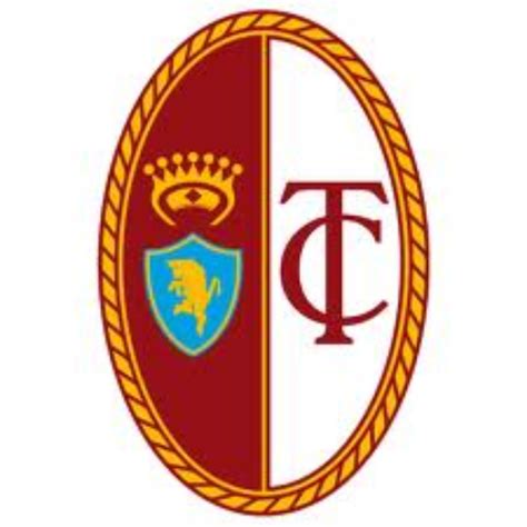 Torino Logo History