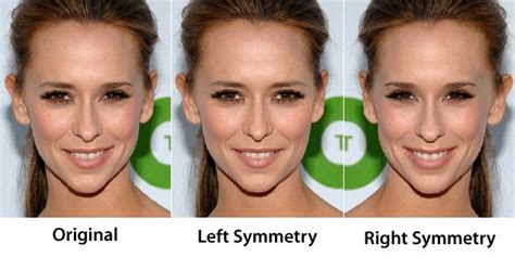 Face Symmetry Of Celebrities Face Symmetry Face Study Symmetrical