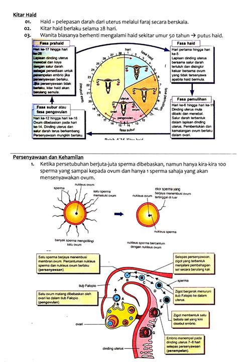 Nota Sains Tingkatan Bab Kssm Sains Tingkatan Kssm Tenaga