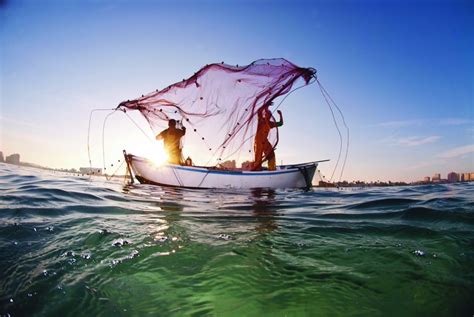 Una Imagen Sobre La Pesca Ganadora De La I Edición Del Concurso De