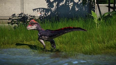 222 Best Deinonychus Images On Pholder Dinosaurs Ark And Jurassicworldevo