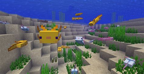 How To Breed An Axolotl In Minecraft Player Assist Game Guides