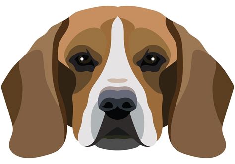 Beagle Face Vector Portrait Of A Dog Head Isolated On White Background