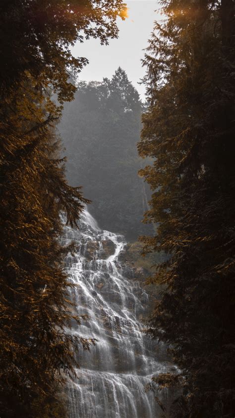 Download Wallpaper 2160x3840 Waterfall Flow Fog Branches Trees