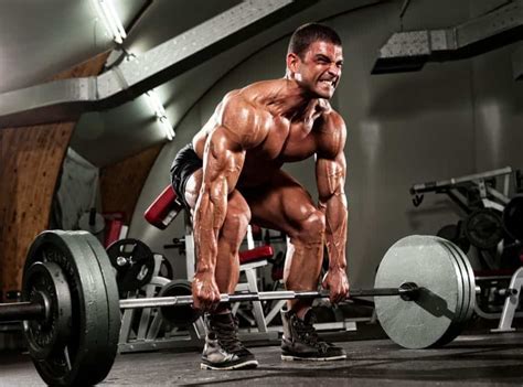 Top 10 Strength Training Exercises Gear Up To Fit