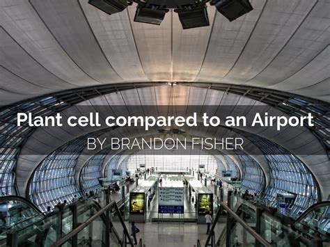 Plant Cell Compared To An Airport By Brandon Fisher