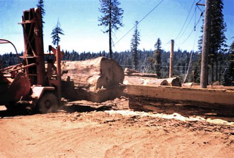 Large Log Soper Wheeler Company — Calisphere