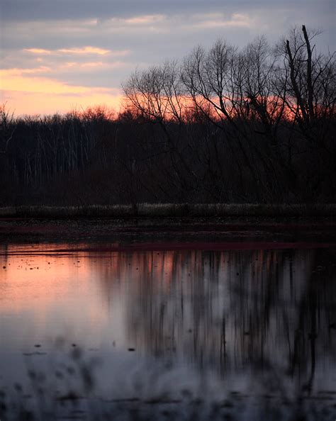 Mckee Beshers Wildlife Management Area Mckee Beshers Wildl Flickr