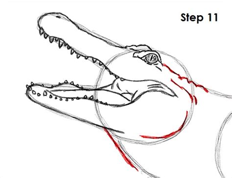 Explore collection of alligator head drawing. How to Draw an Alligator VIDEO & Step-by-Step Pictures