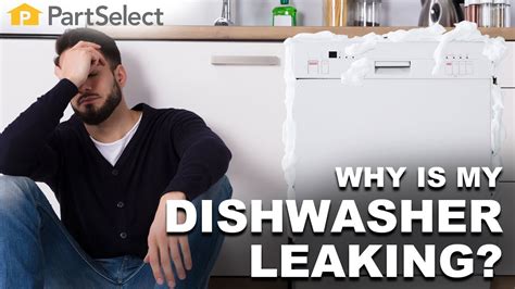 Why Is My Dishwasher Leaking Youtube