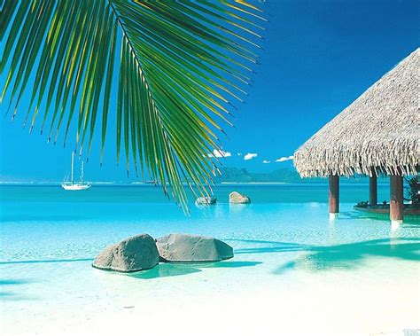 Free Download Tropical Beach Screensavers And Wallpaper 67 Images