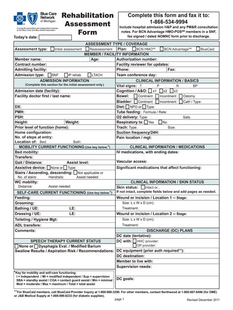 Rehab Assessment Form 2020 2021 Fill And Sign Printable Template