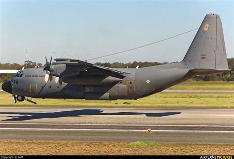 16805 Portugal Air Force Lockheed C 130h Hercules At Beja Ab