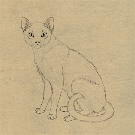 In this step, you will add the outline to your entire cat. 40 Simple Cat drawing Examples anyone Can Try