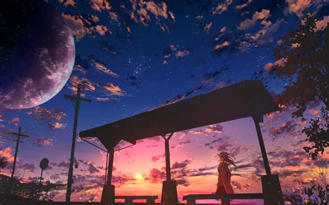 2560x1600 Starry Sky Anime Girl Wallpaper2560x1600 Resolution Hd 4k