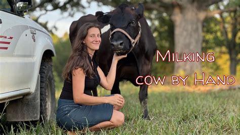 How To Milk A Cow By Hand A Pretty Girl Milking A Cow In Beautiful