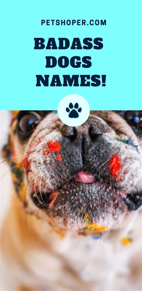 Badass Names For Dogs 600best Ideas Girl And Boy