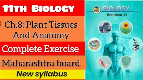 11th Biology Chapter 8 Plant Tissues And Anatomy Exercise Question And