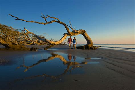 Best Of Jekyll Island 2023 Official Georgia Tourism And Travel Website