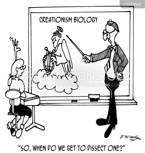 Dissections Cartoons And Comics Funny Pictures From Cartoonstock