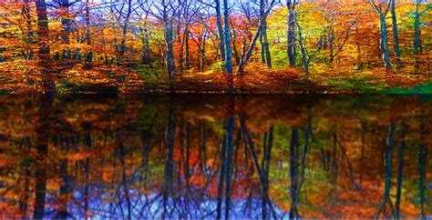 Autumn Lake Scene Flickr Photo Sharing