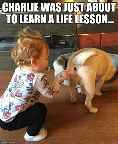 Funny Memes About Life Lessons Misfortunes Never Happen Once Do They