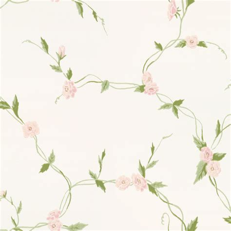 Light Pink Flower Wallpaper 58 Pictures