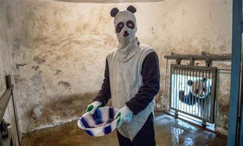 People Dressed As Pandas Living With Pandas Others