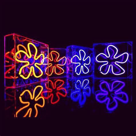 Our Range Of Multi Coloured Neon Flowers Are Now Available To Buy And