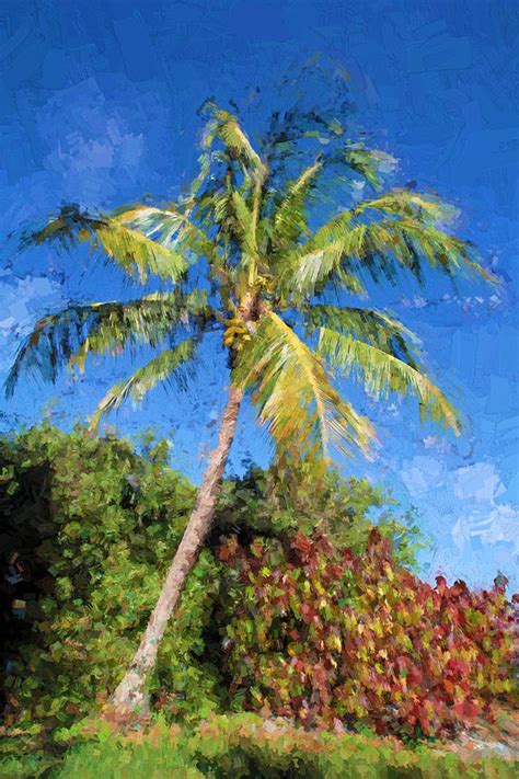 Download and use 10,000+ coconut trees stock photos for free. Coconut Palm Tree Photograph by HH Photography of Florida