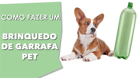 Brinquedos Para Cachorro Como Fazer Shih Tzu Brasil