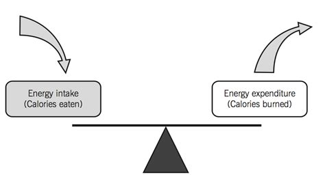 Energy Balance Muscle Nutrition