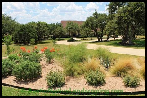 Pin By Darla Novak On Landscaping Hill Country Landscape Xeriscape