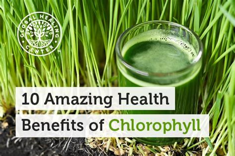 10 Amazing Benefits Of Chlorophyll Wake Up World