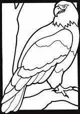 Coloring Eagle Animals Crayola Animal Printable Sheets Z31 Cartoon Golden Cliparts Colouring Bald Bird Popular Odd Dr Coloringhome Drodd sketch template