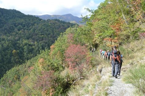 The National Park Of The Casentino Forests Monte Falterona And