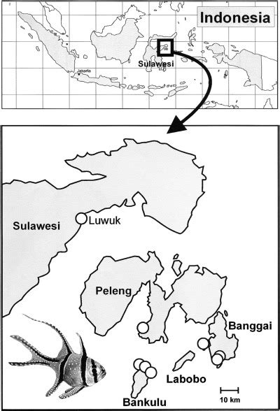 Map Over The Banggai Archipelago Sites Included In The Study Are
