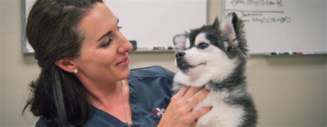 Acadiana Veterinary Surgery | Lafayette, LA 70526